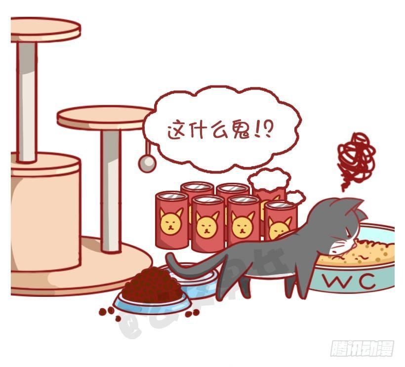 不是说，建国之后动物不能成精吗？