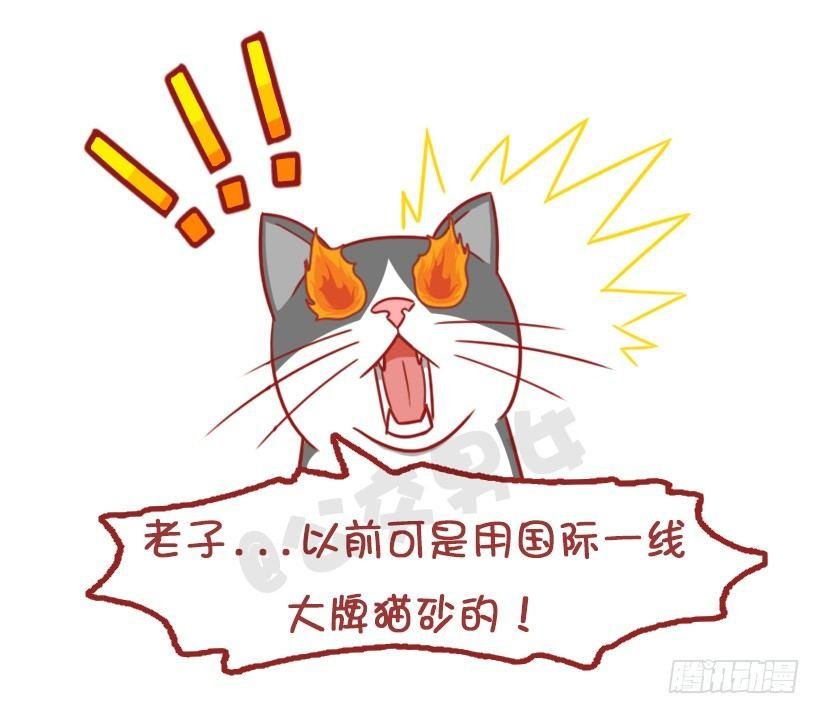 不是说，建国之后动物不能成精吗？
