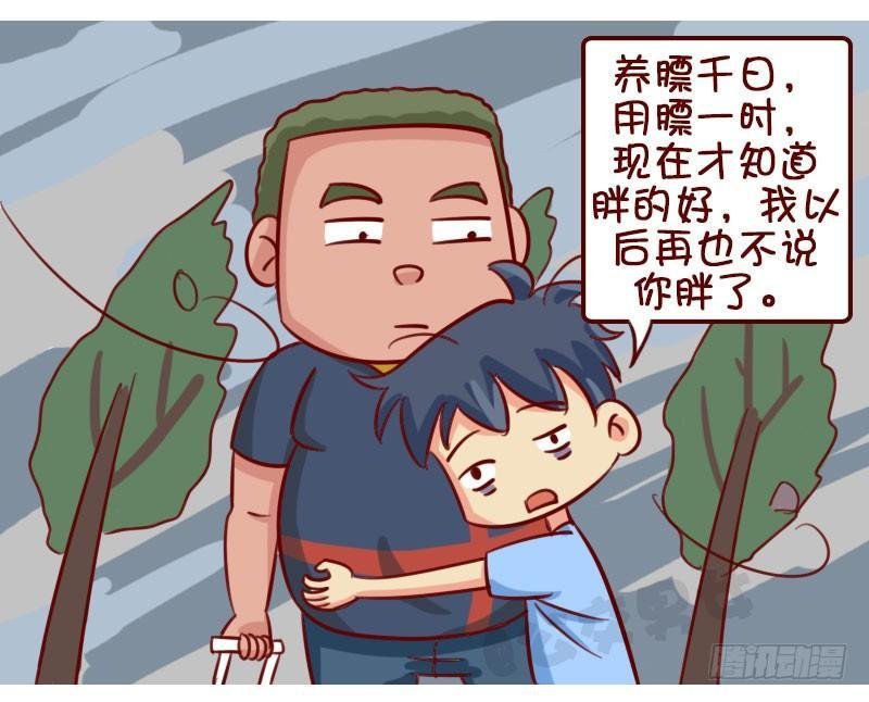 台风