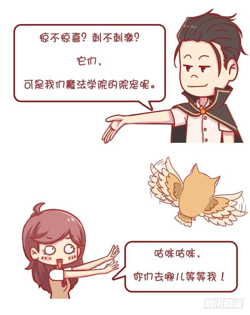妮妮酱带你游高校系列活动2