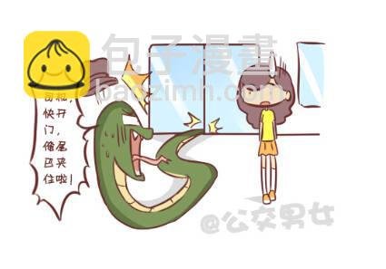 257-十种动物挤公交