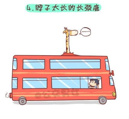 257-十种动物挤公交