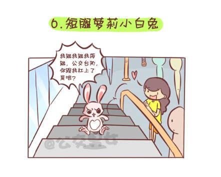 257-十种动物挤公交