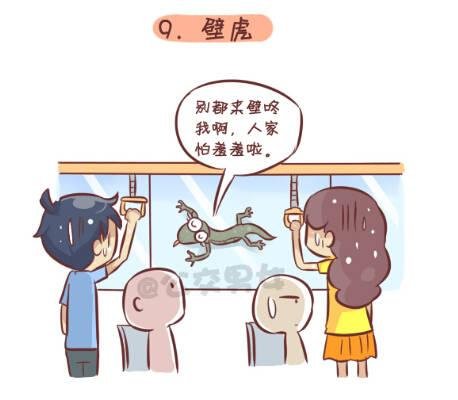 257-十种动物挤公交