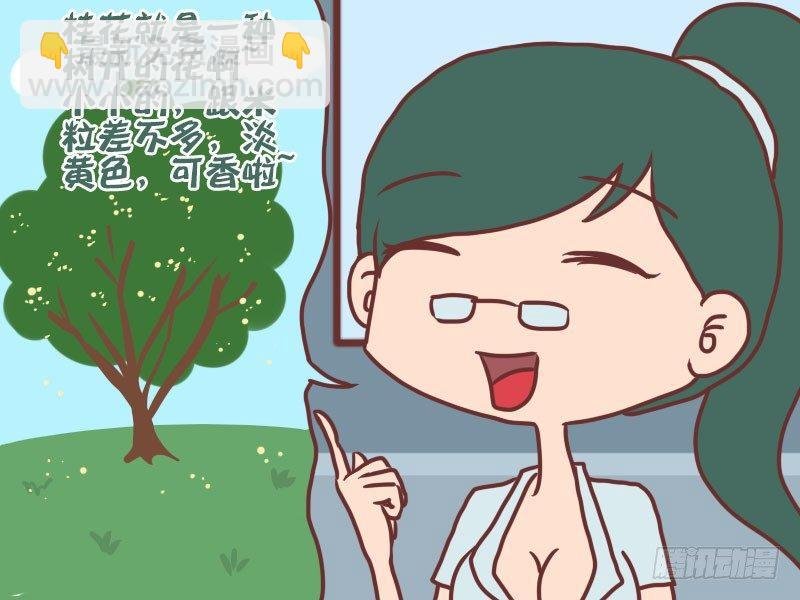 036桂花糖