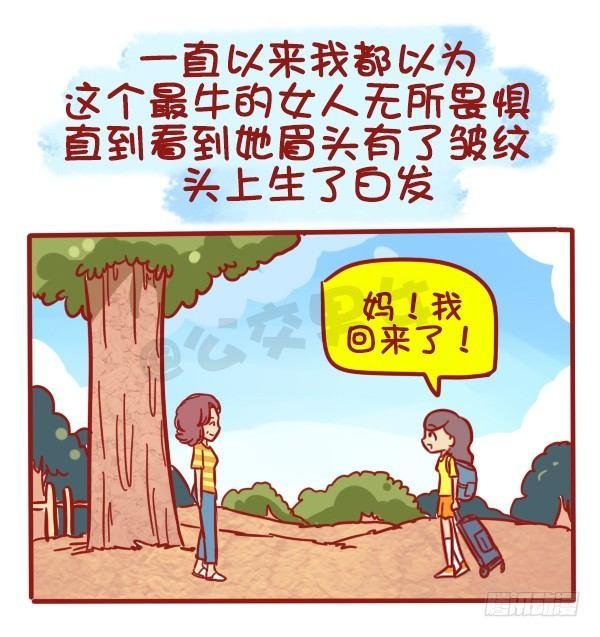 487-女神我爱礼