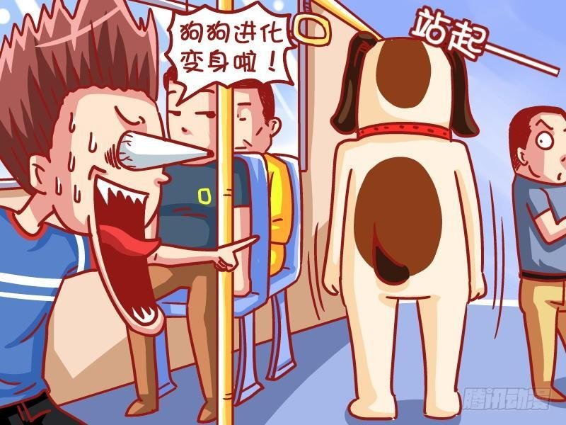 498-狗狗闹公交