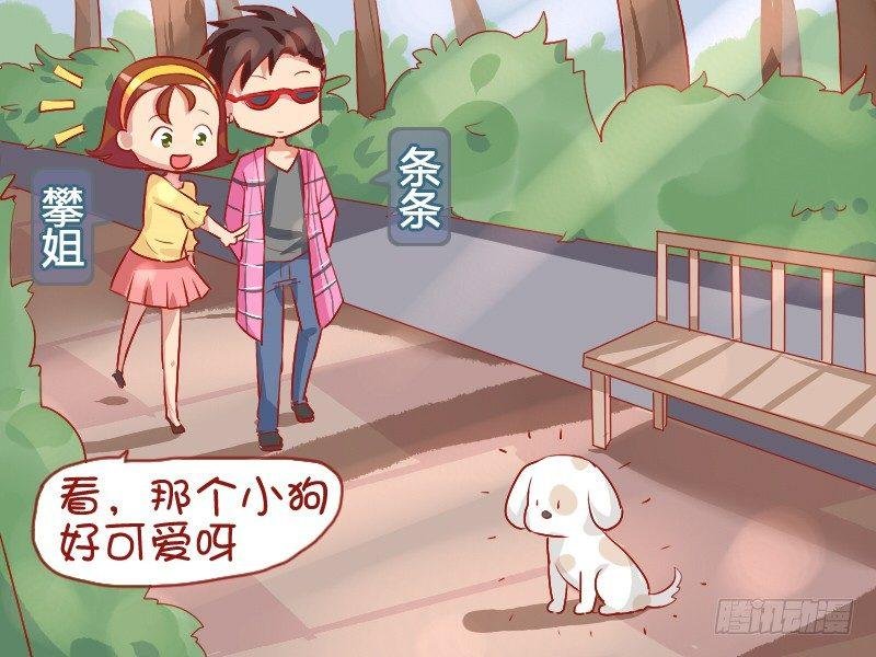 792-可爱的小狗