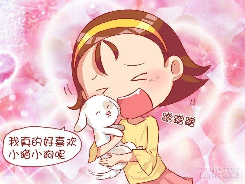 792-可爱的小狗