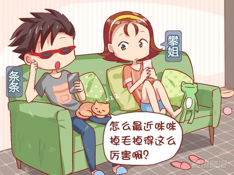 830-买衣服的理由
