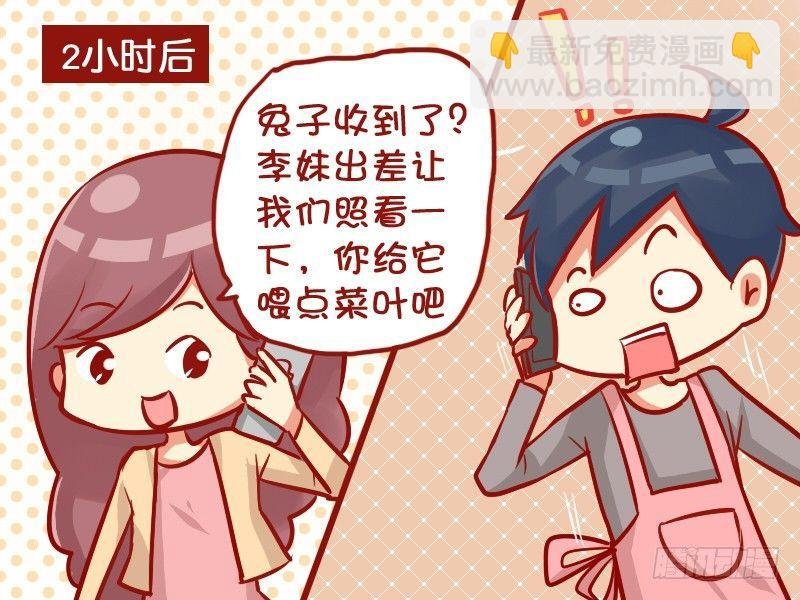 946-可爱兔兔