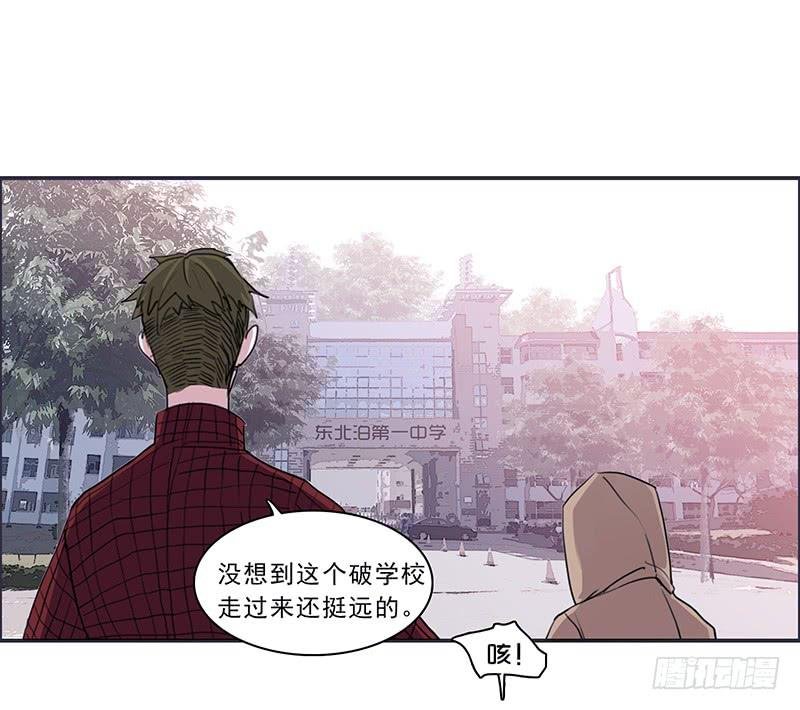 16.题库与校园