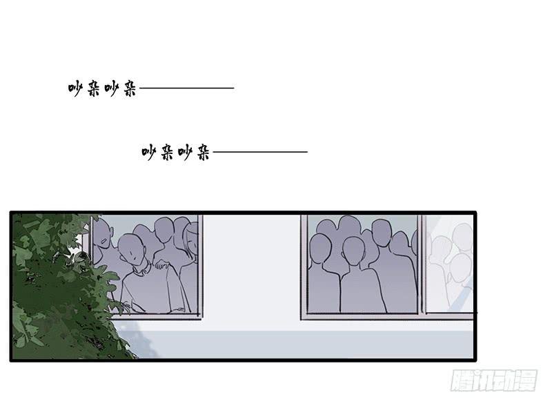 17.同类