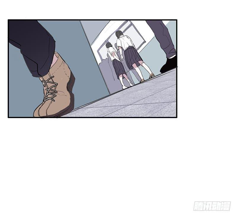 17.同类