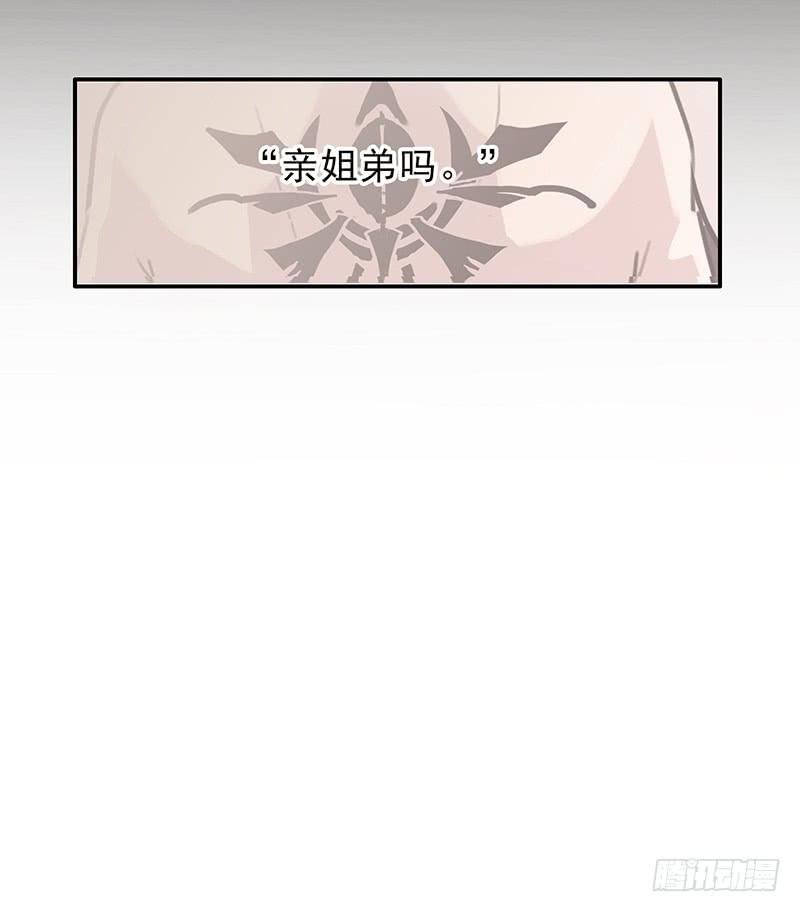 17.同类