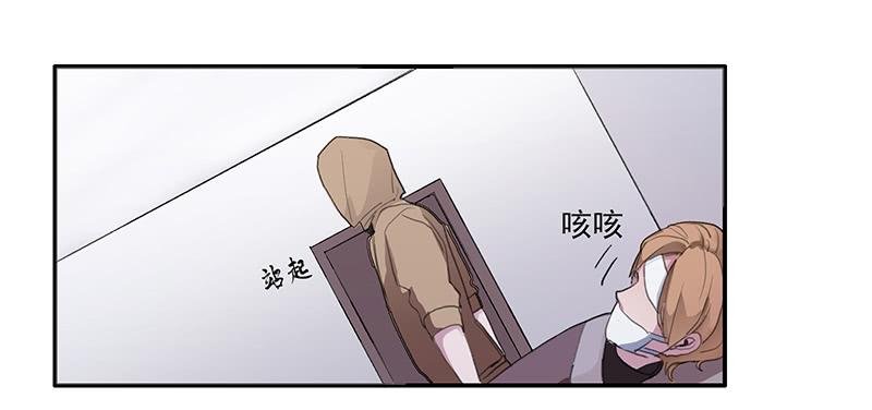 28.黑兔子和白兔子