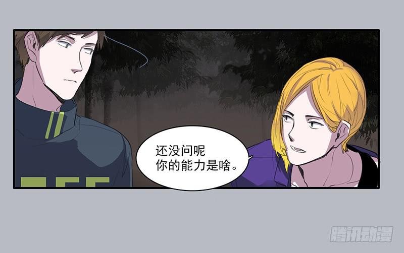 29.夜间小树林