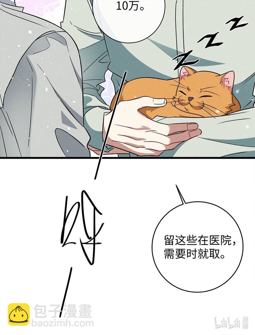 12 寄养