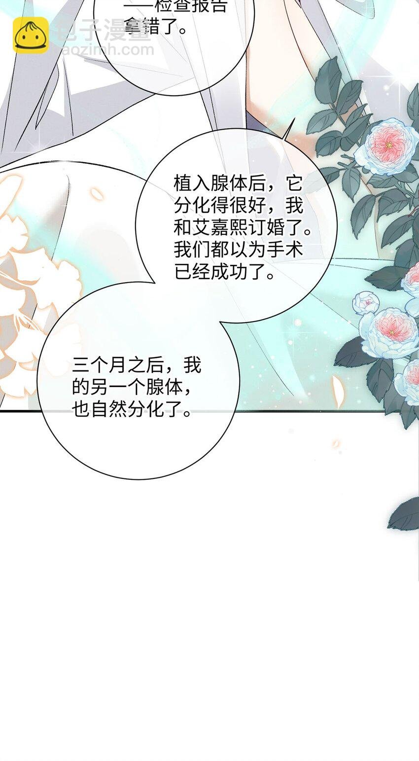 24 另一个腺体