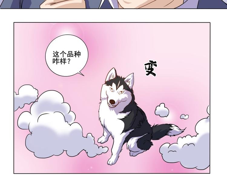 第33话 感觉不对