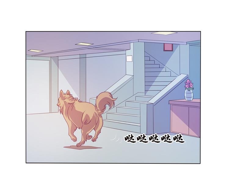 第33话 感觉不对