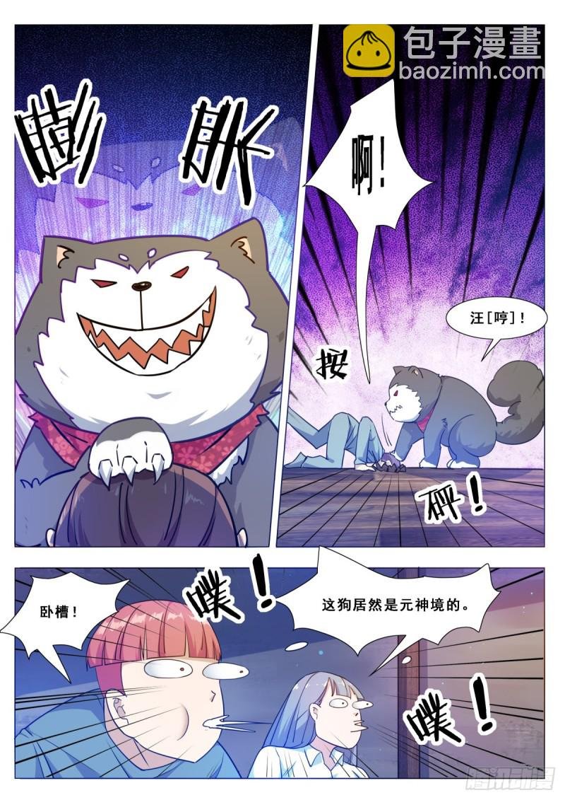 第115话 元神境的小哈
