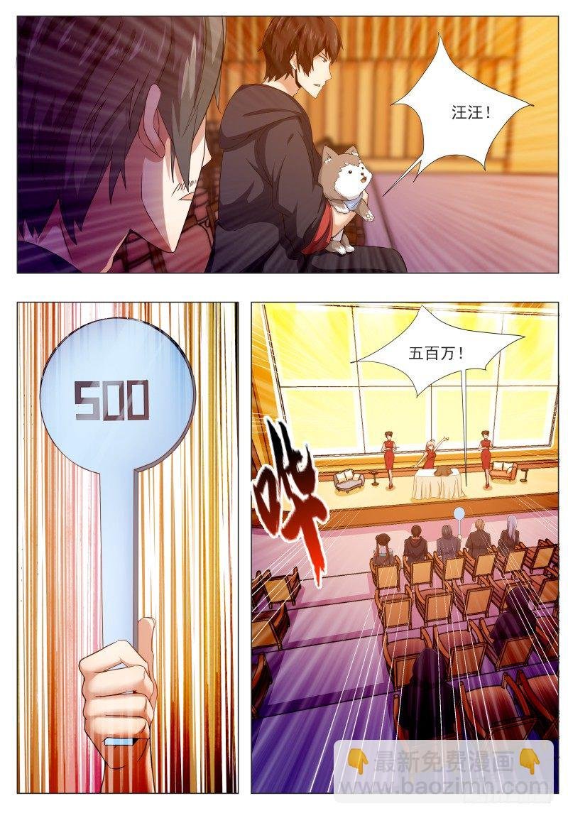 第44话 拍卖会就是买买买!
