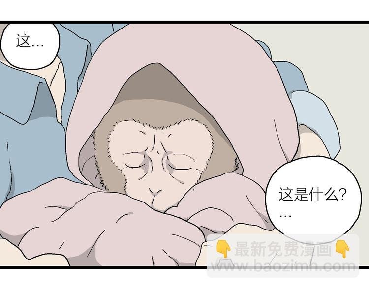 第17话 像家人一样