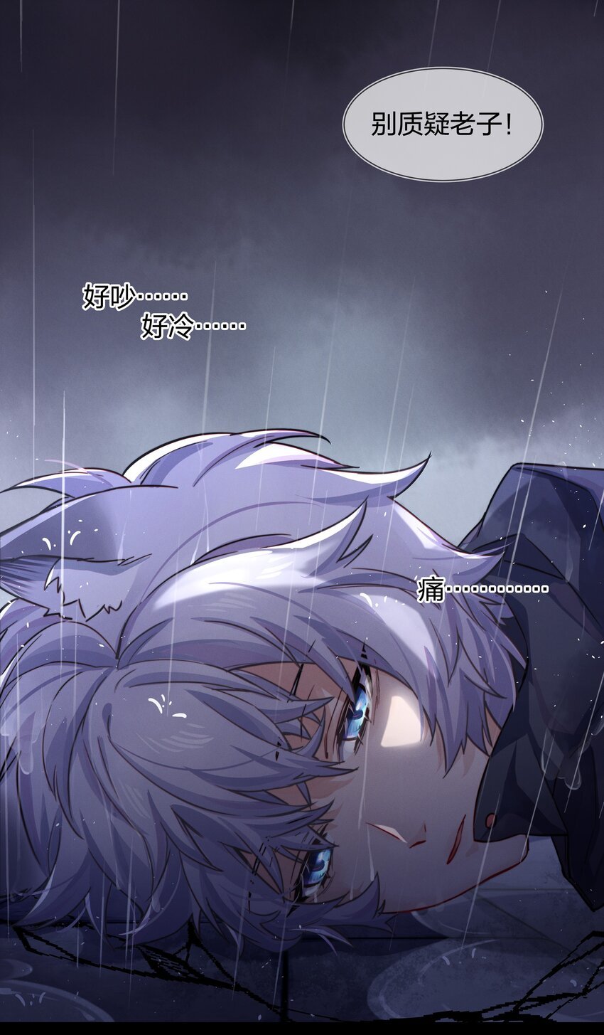 011 真相