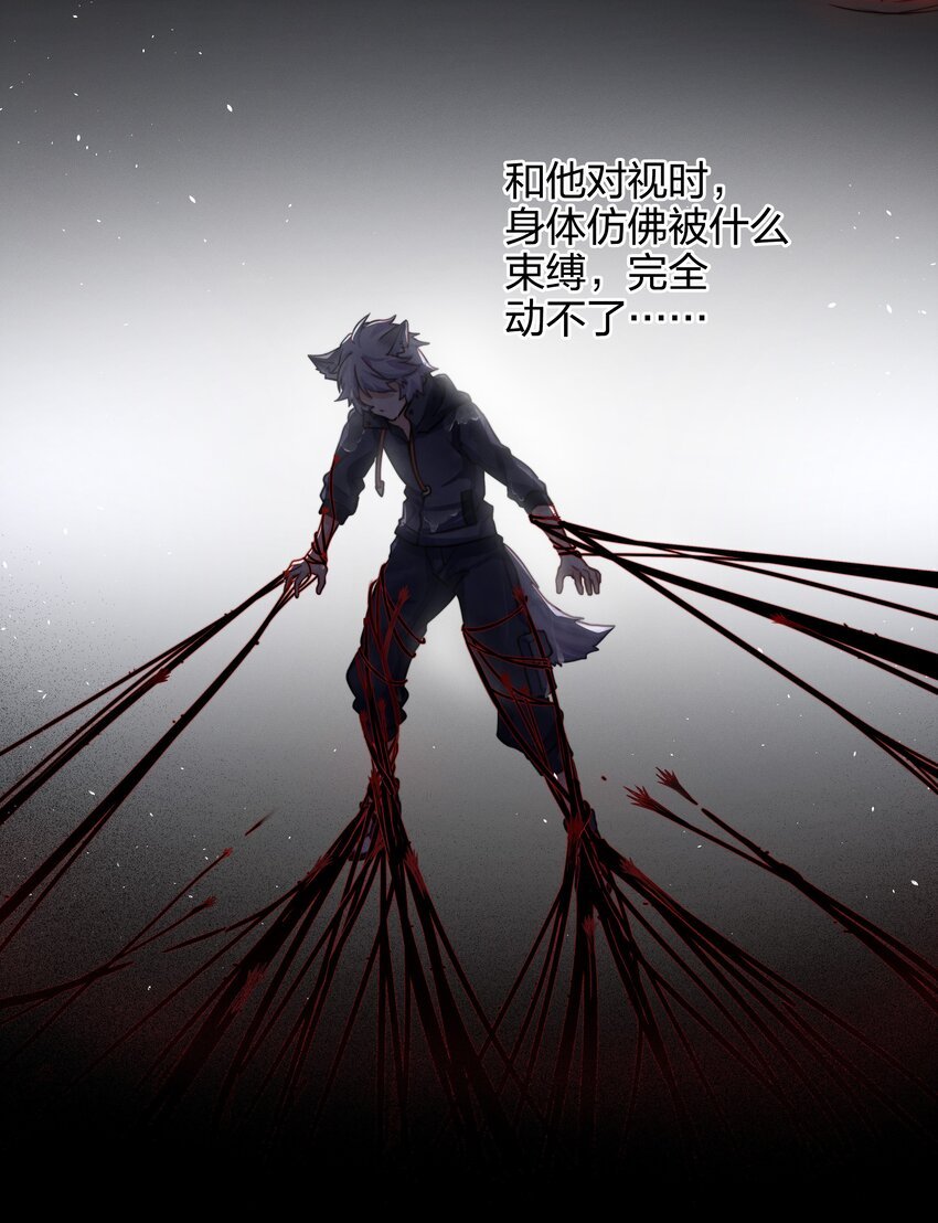011 真相