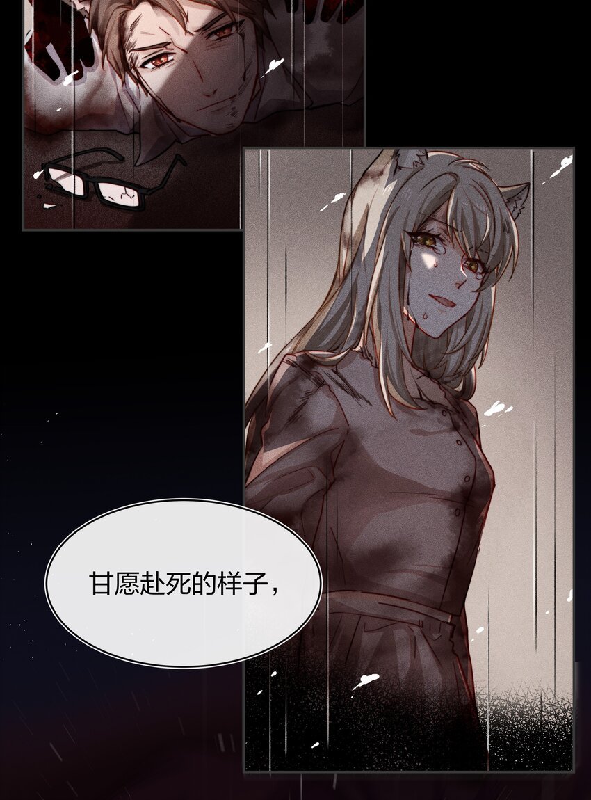 011 真相