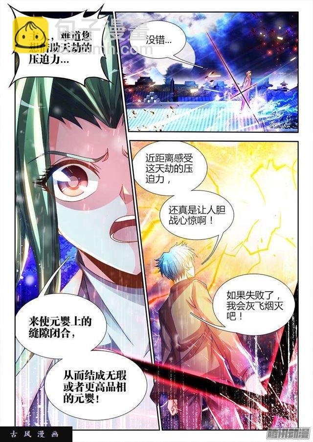 220、元婴品相