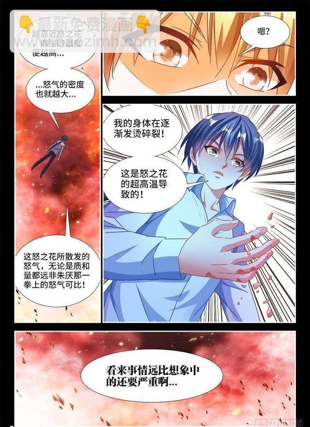 378、怒之花