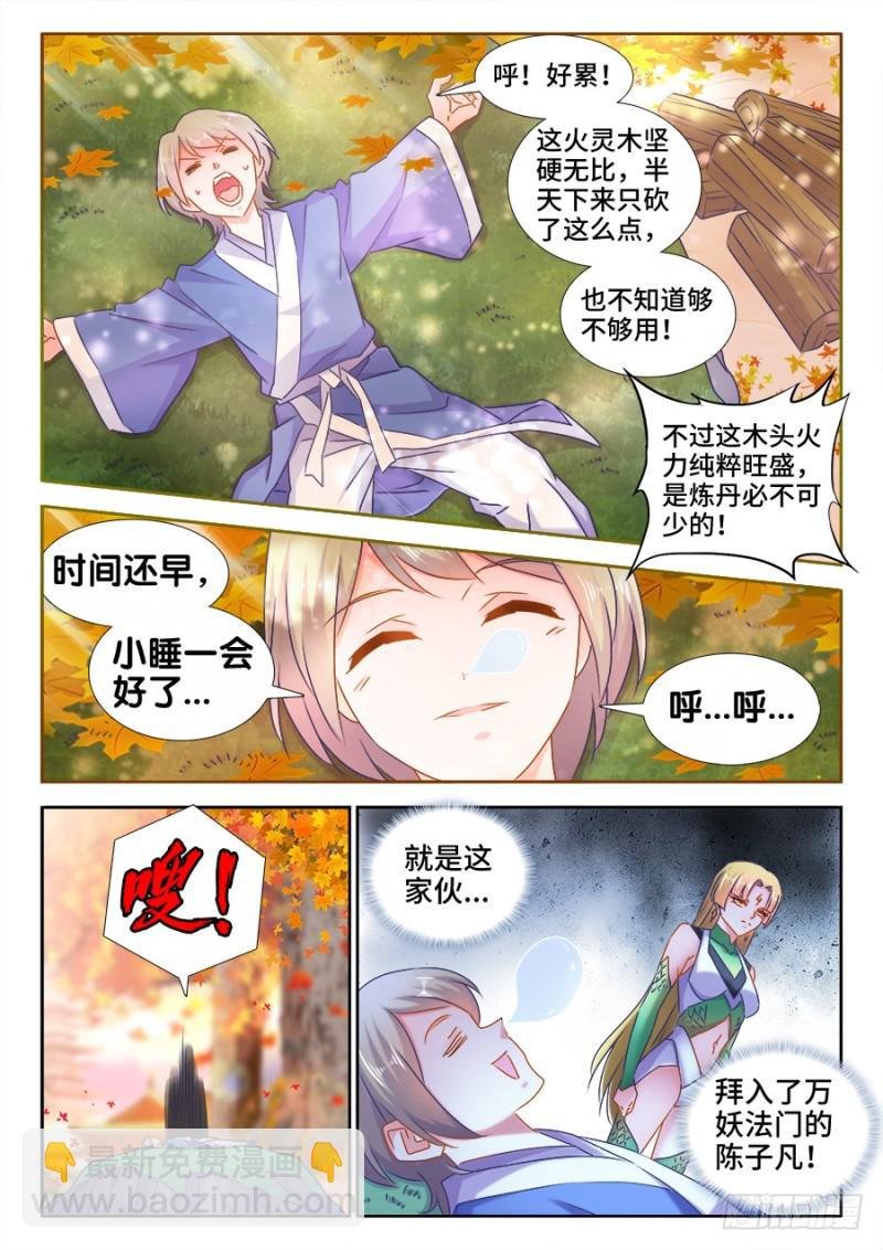 523、林芷