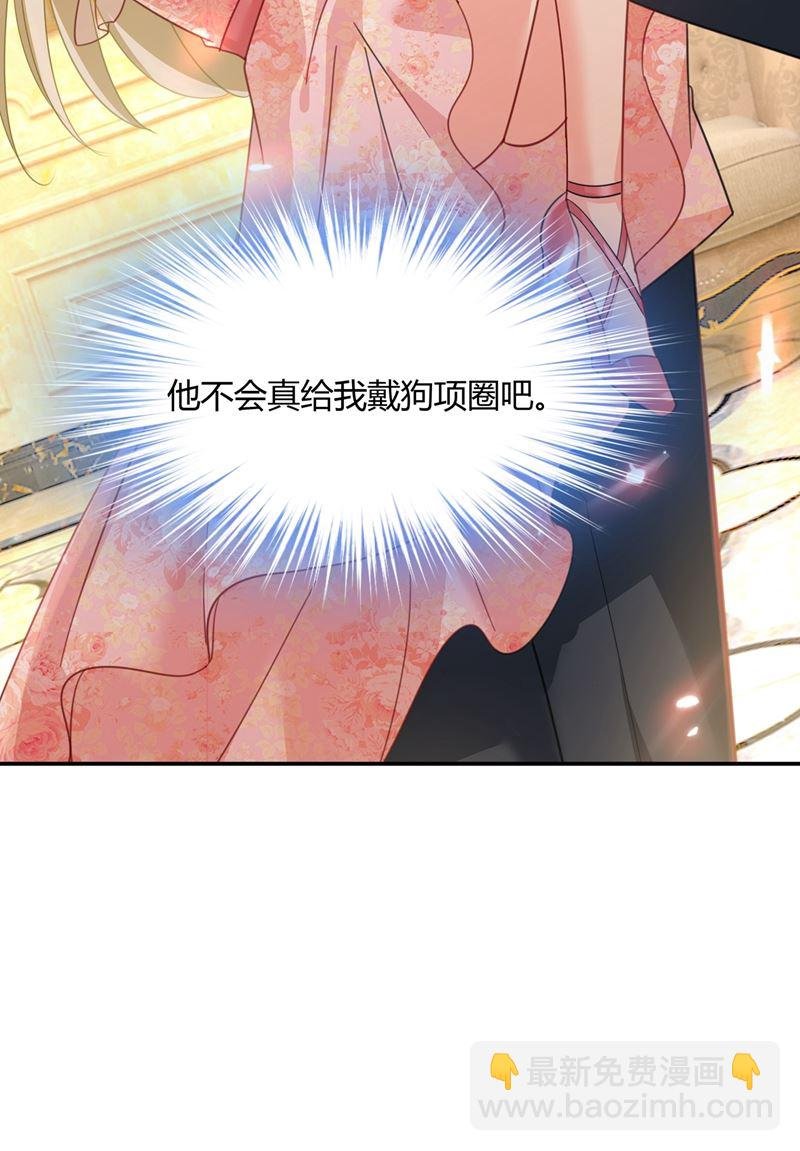 这个项圈你要不要戴？