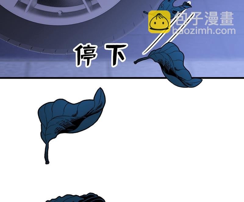 我会做出自己的决定
