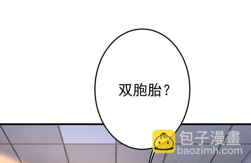 我怀了双胞胎？！