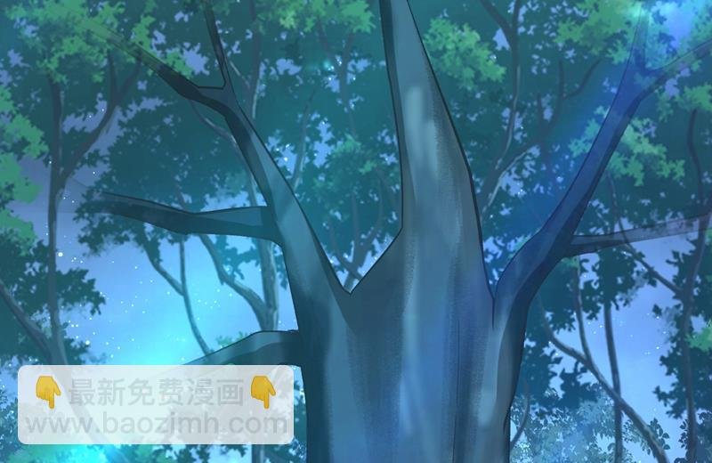 投资五个亿？！