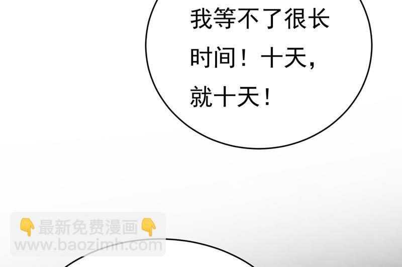 我只给你十天时间