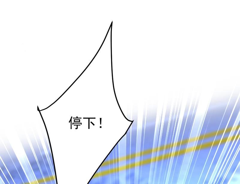 时小念，给我停车！