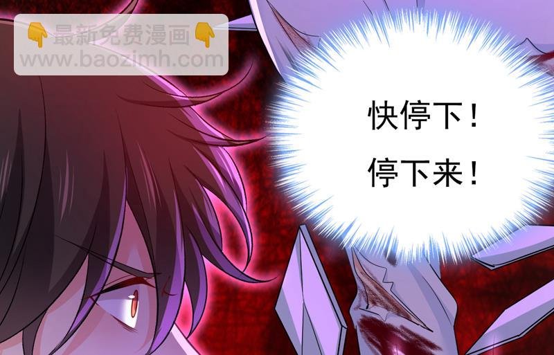时小念，给我停车！