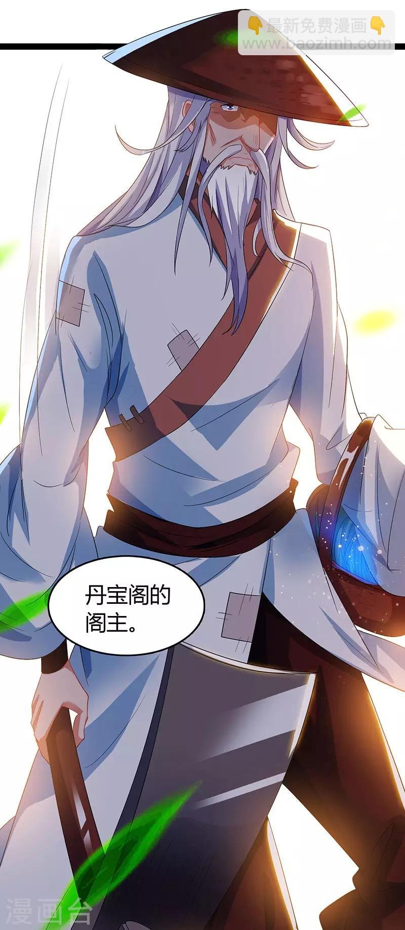 第75话 丹宝阁阁主