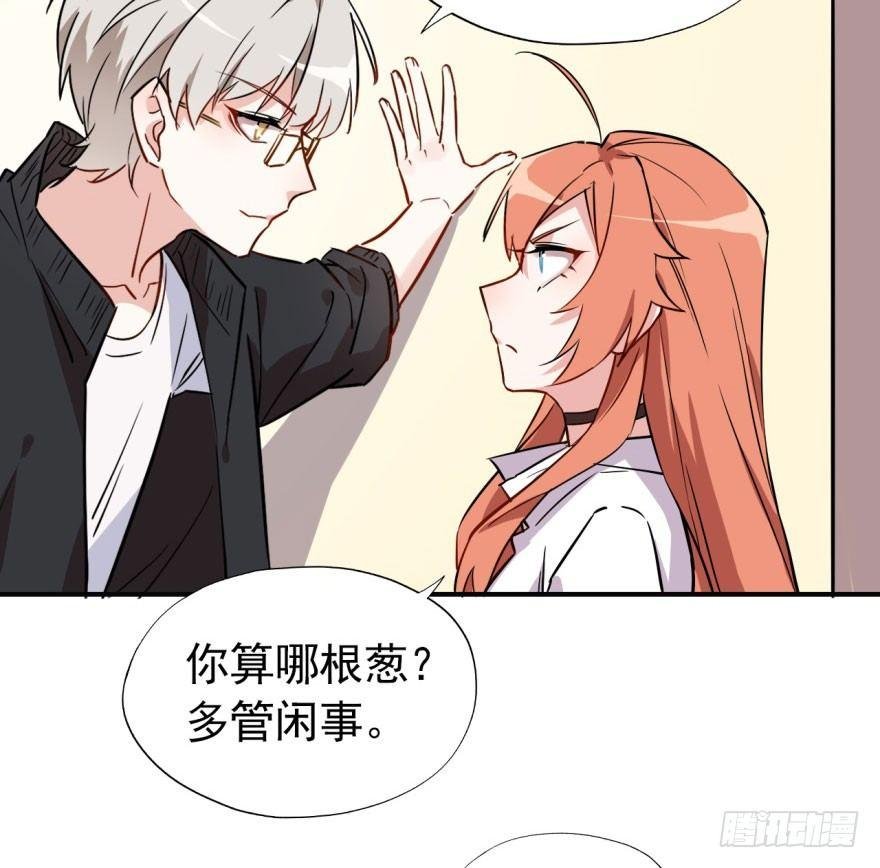 学校来了个小鲜肉