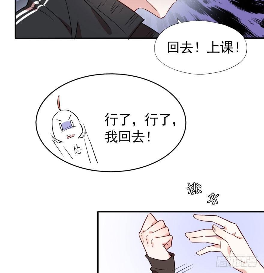 学校来了个小鲜肉
