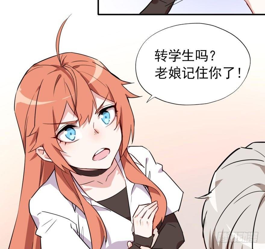 学校来了个小鲜肉