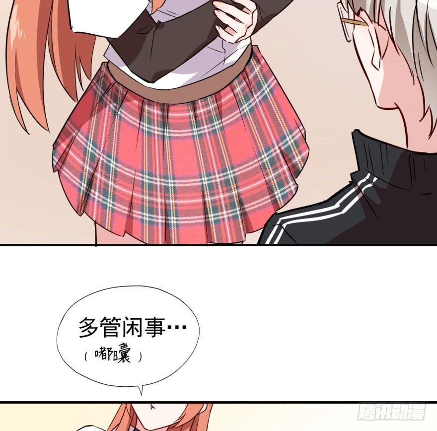 学校来了个小鲜肉