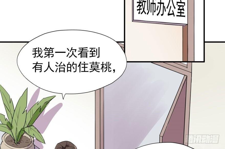 学校来了个小鲜肉
