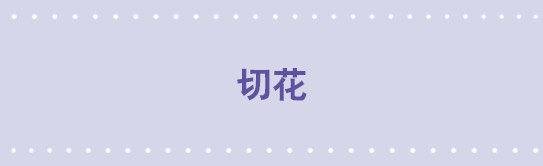 137 切花