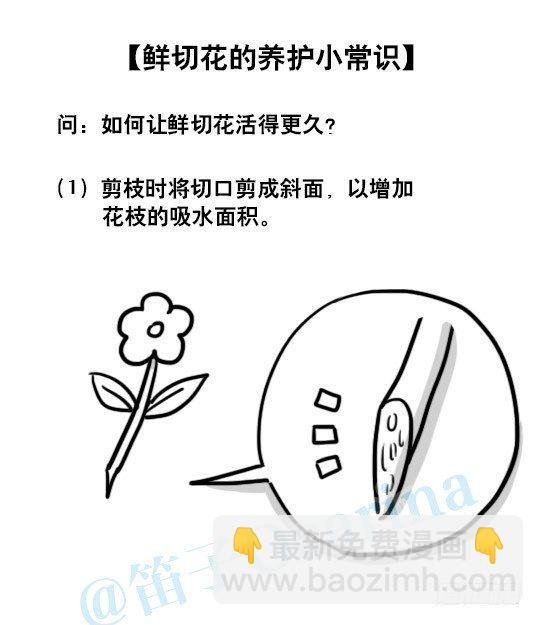 137 切花