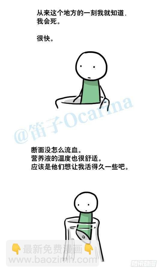 137 切花